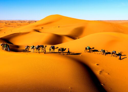 3-Day tour from Marrakech to Fez Via the Desert